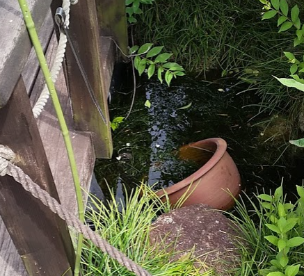 池全景